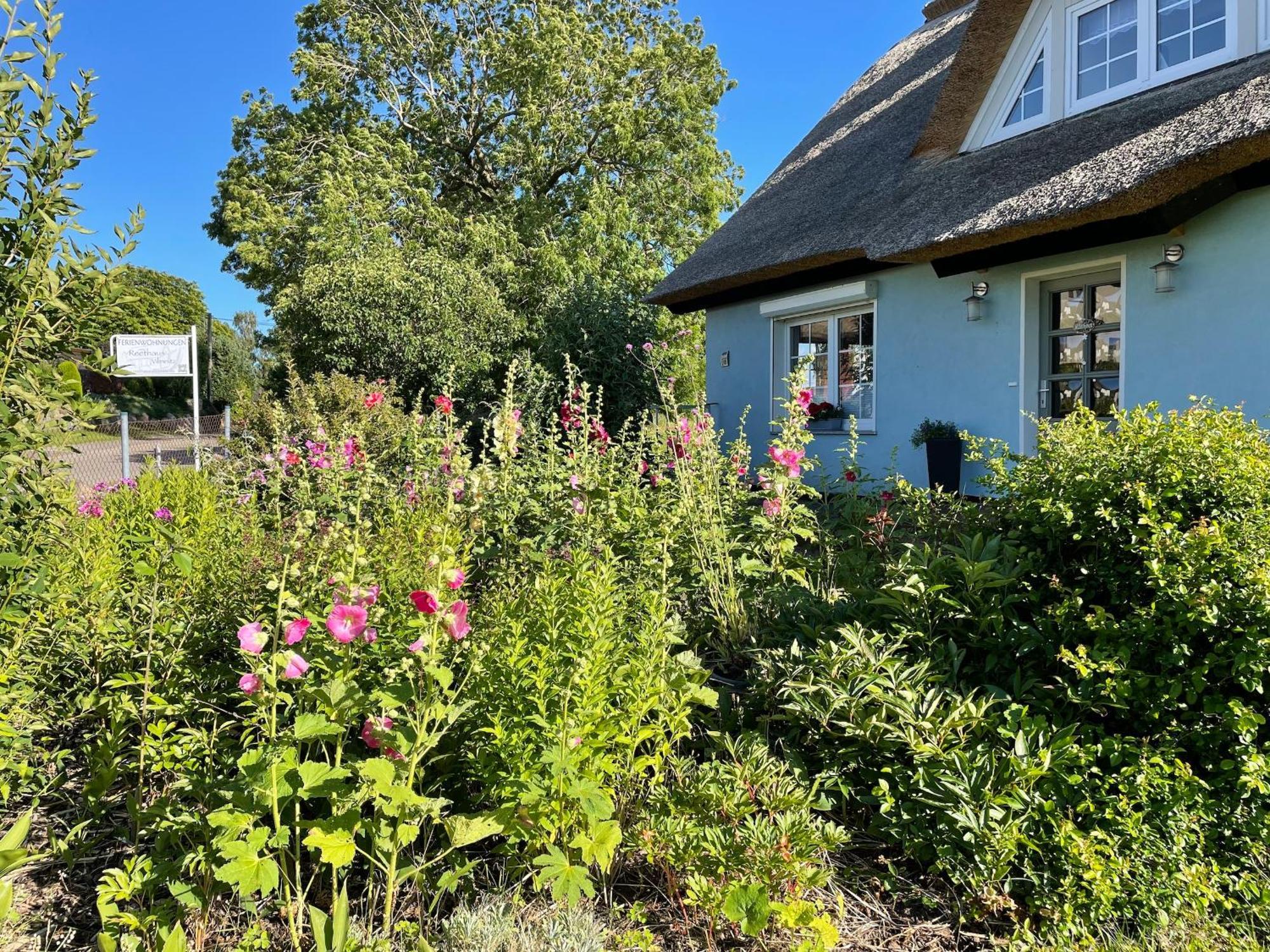 Reethaus Vilmnitz - Ferienwohnung Goor Luaran gambar